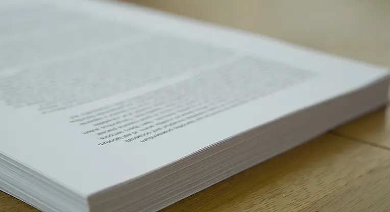 研究論文・学会発表