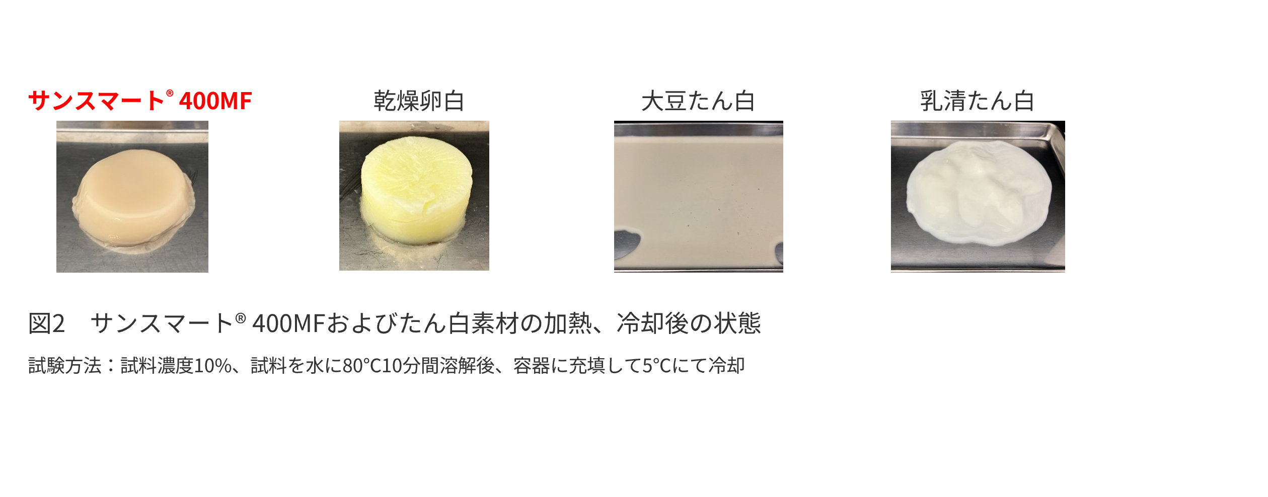図2とキャプション.PNG