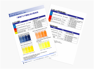 米国向け色素製品資料_サムネイル.png