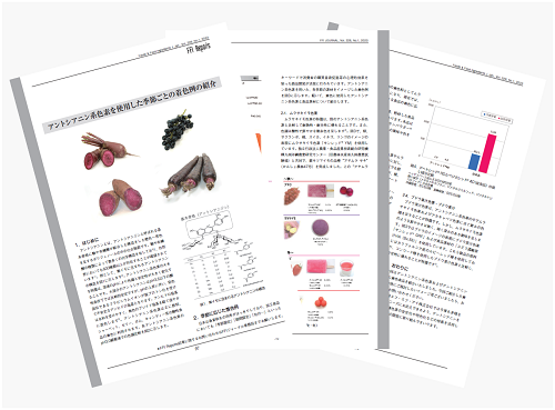 FFIレポート　2023年1号　アントシアニン系色素を使用した季節ごとの着色例の紹介