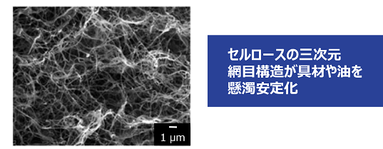 解決事例　サンアーティスト　発酵セルロース　顕微鏡写真