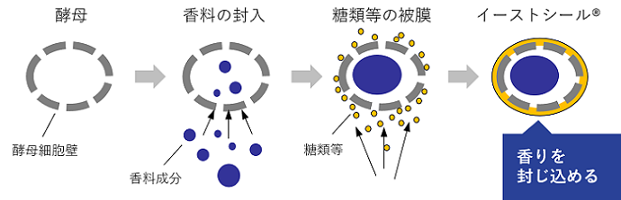 イーストシール　マイクロカプセル化　イメージ